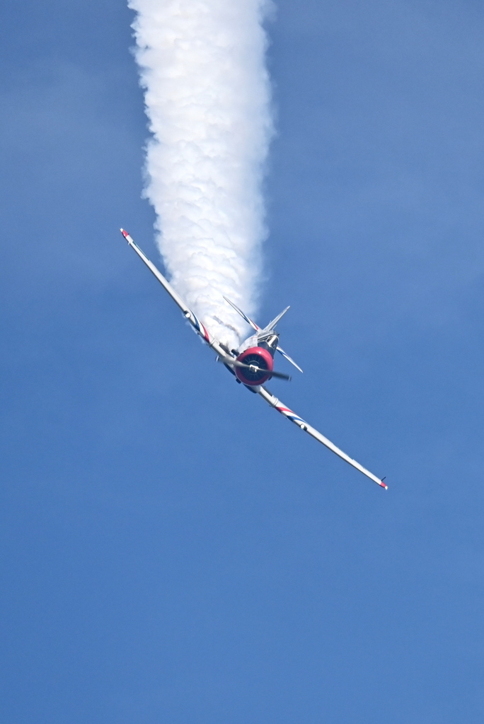 Warbird Thunder #1 17  11-2-25