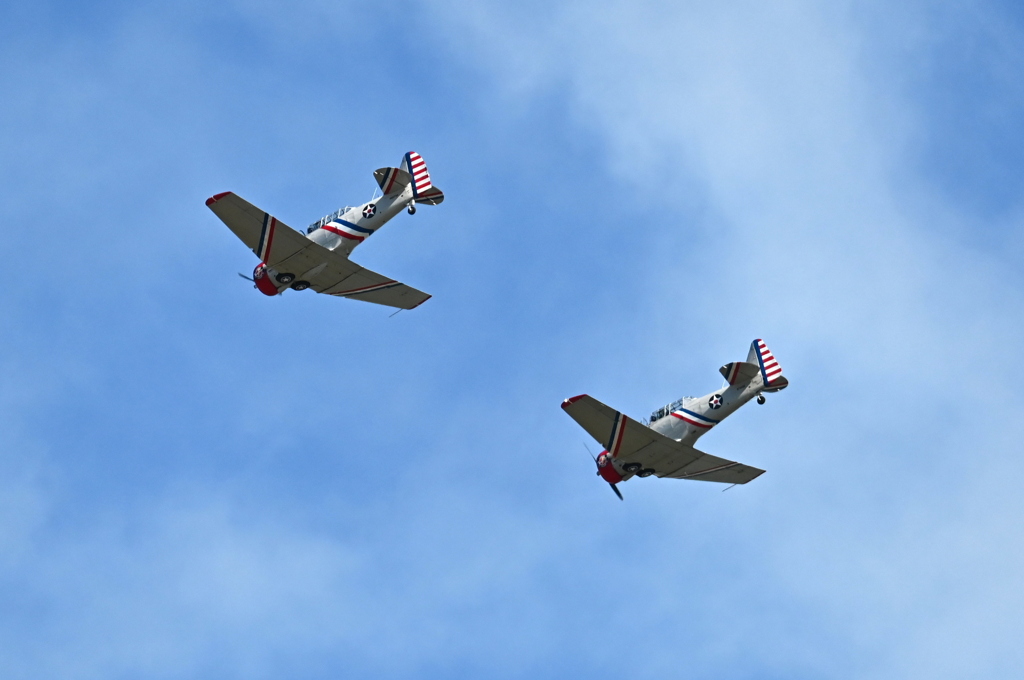 Warbird Thunder XVII SNJ-2 & SNJ-3