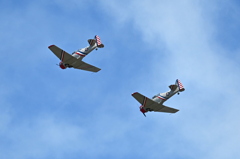 Warbird Thunder XVII SNJ-2 & SNJ-3