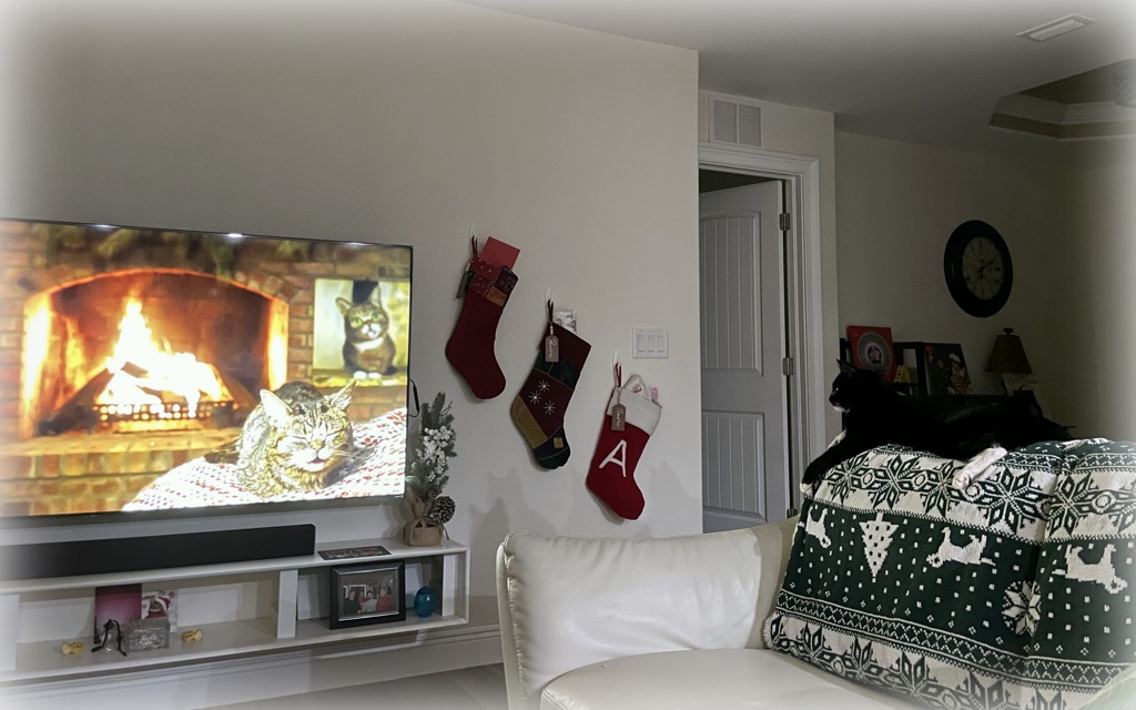 Lil Bubを見てるAmore　12-25-25