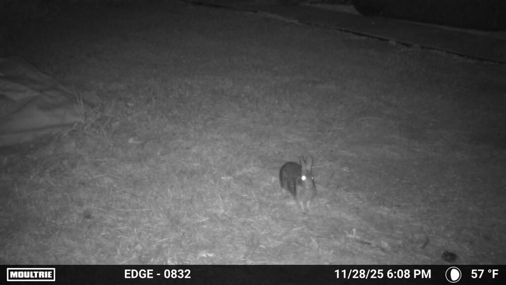 カメラの前でポーズ　11-28-25