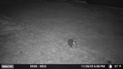 カメラの前でポーズ　11-28-25