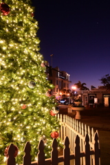 Purple Night 12-12-24