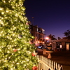 Purple Night 12-12-24