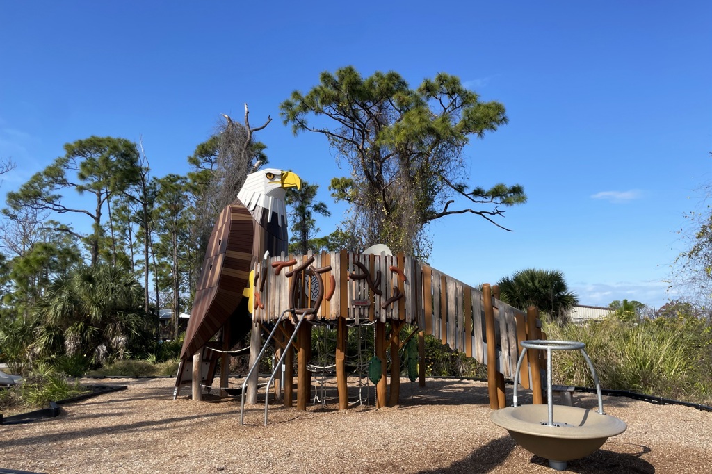 巣はなくなったけど　1-18-26