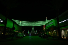 Evergreen 11-28-24