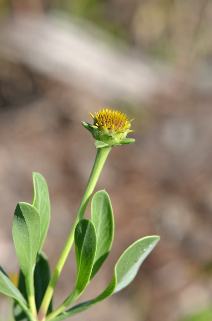 Bud 5-10-23