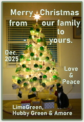 Christmas Card 2025_Blog_Instagram_2
