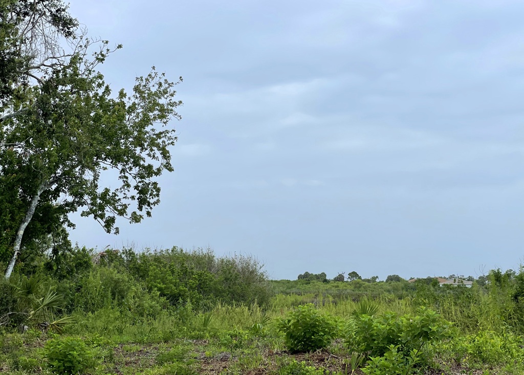 Rotonda Preserve 6-5-25