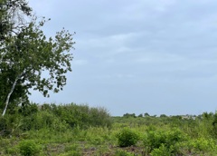Rotonda Preserve 6-5-25