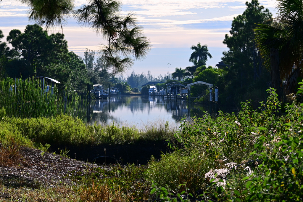 Morning in South Gulf Cove 9-27-25