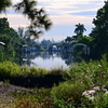 Morning in South Gulf Cove 9-27-25