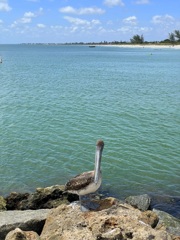 At Jetty 6-19-24