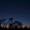 Dusk III 12-5-22