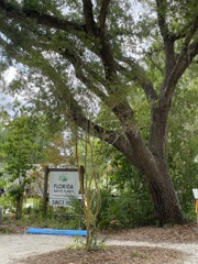Native Plant Nursary 5-8-25