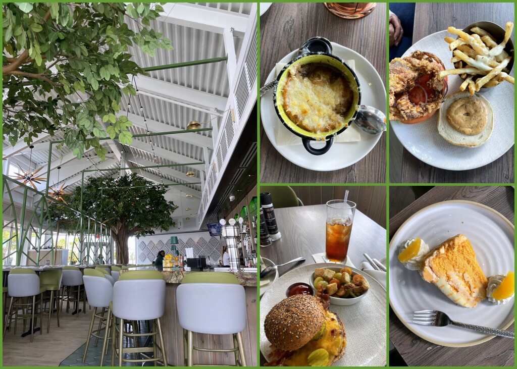 Banyan House 1-14-26