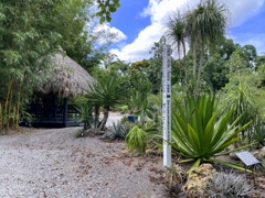 Peace Pole 7-17-25