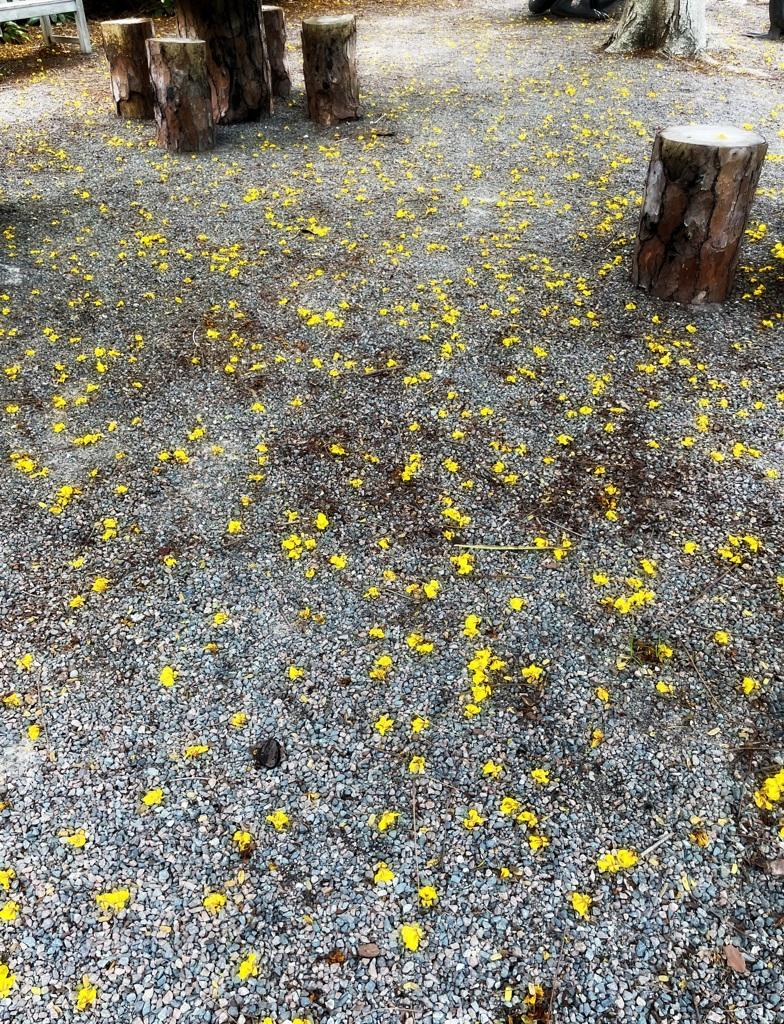 Yellow 7-17-25