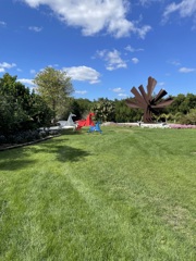 Horses and the Palms 12-16-25