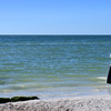 A Girl on the Beach 11-26-24