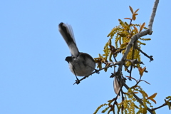 もぞもぞ 2-26-26