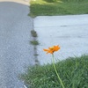 Saturday Morning 8-12-23