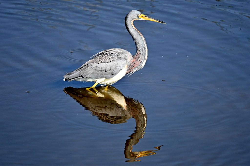 次行ってみよう　11-18-25