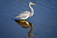 次行ってみよう　11-18-25