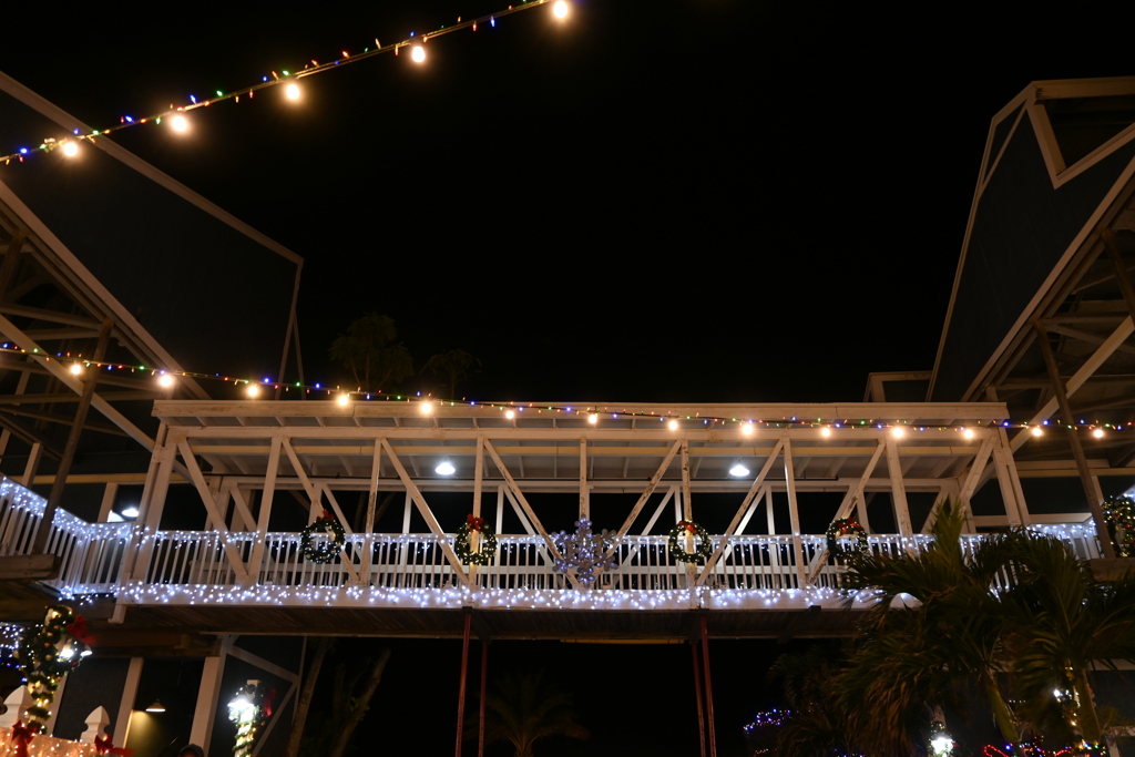 The Bridge 12-12-24