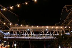 The Bridge 12-12-24