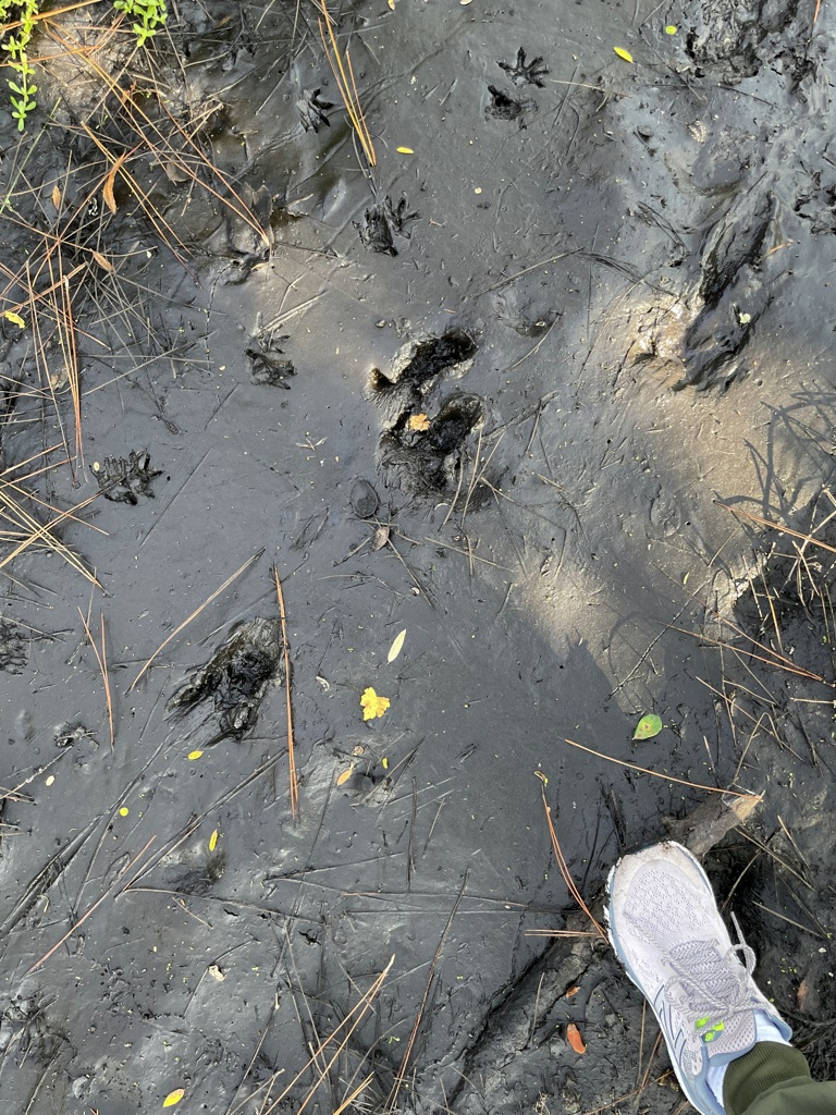 Tracks 1-4-23