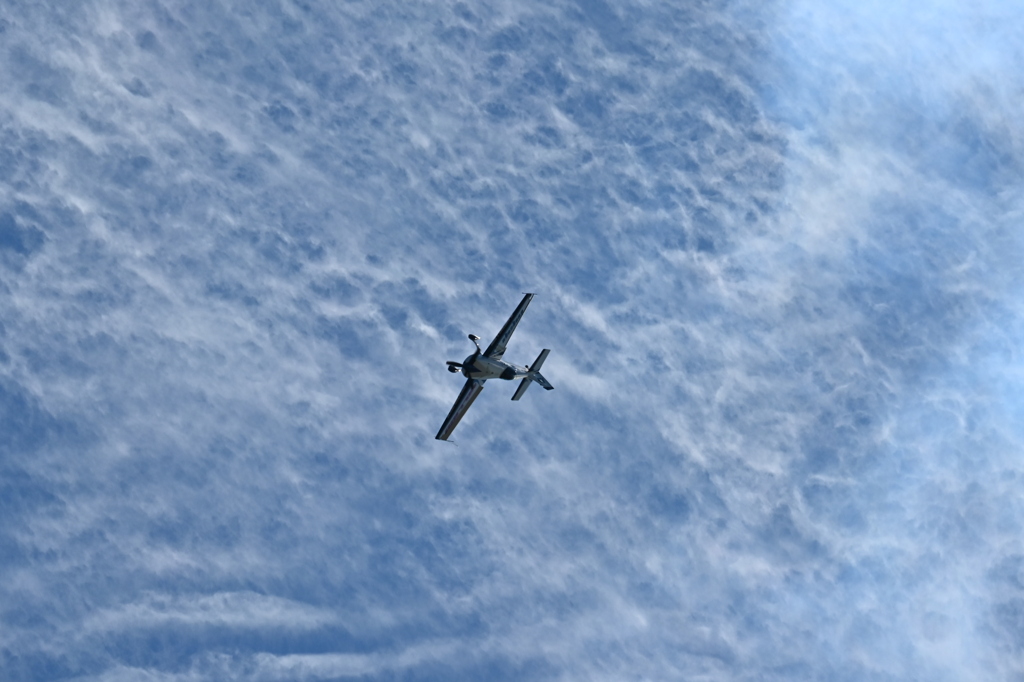 Aarron Deliu 04  11-2-25