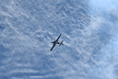 Aarron Deliu 04  11-2-25