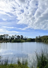 こんな池で　1-30-26