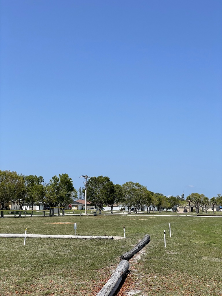 Koza-Saldino Park Nesting Site IV 4-27-2