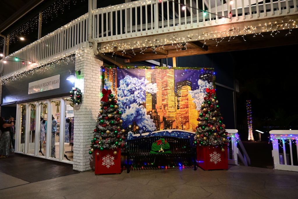 Christmas Time in the City 12-6-25