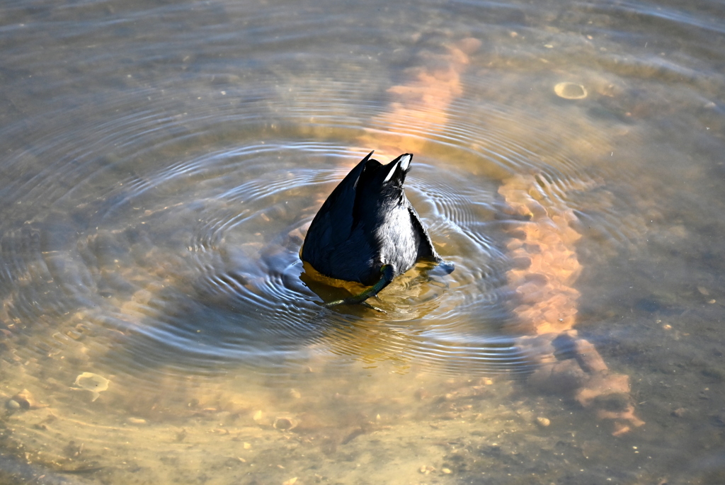 おちり　11-18-25