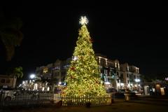 Punta Gorda Christmas Tree 2025