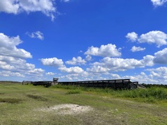 At the Dried Wetland  10-15-25