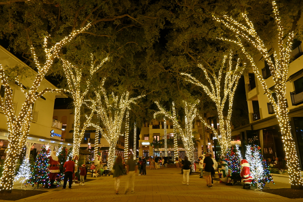 Christmas Lights 12-19-24