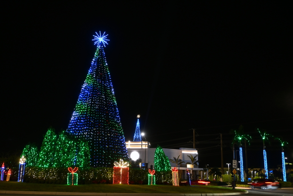 Christmas Light Show 11-28-24
