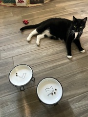 Christmas Present 12-25-25