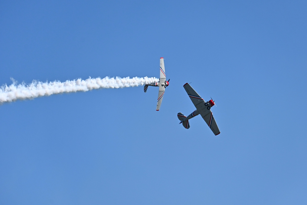 Warbird Thunder 12 10-31-25