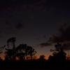 Dusk I 10-6-22