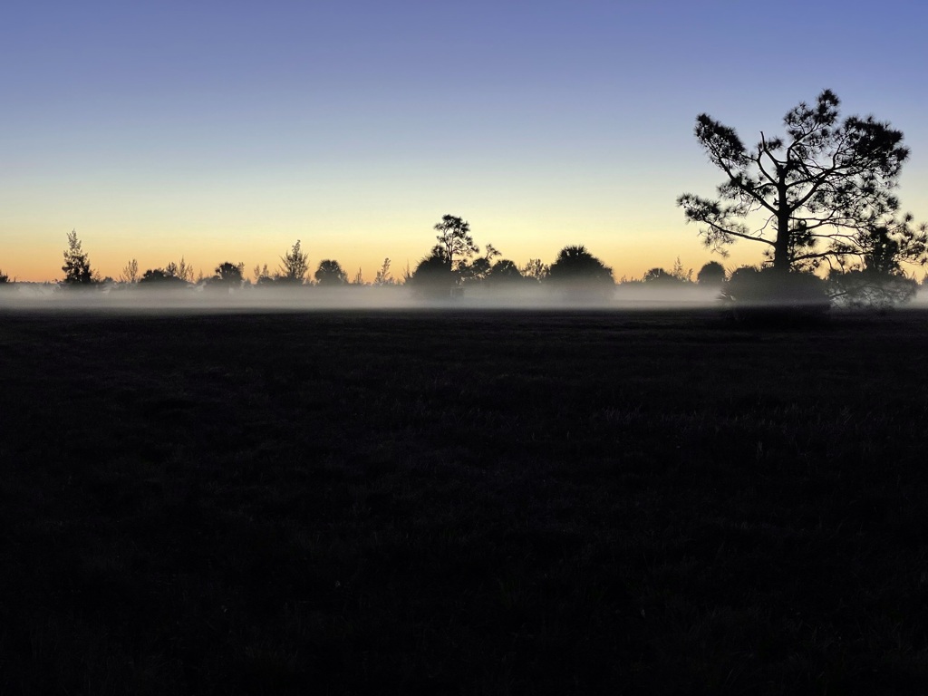 朝靄　iPhone版　1-1-26