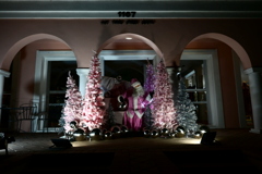 Pink Santa 12-19-24