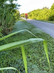 Morning Trail 8-20-25