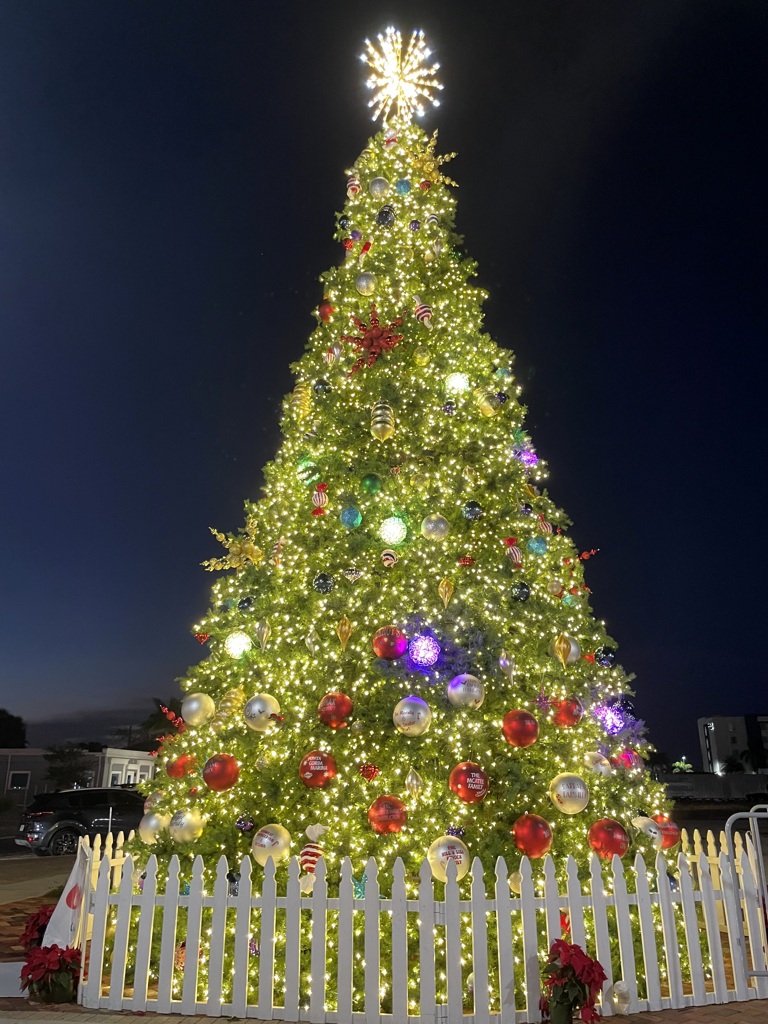 Punta Gorda Christmas Tree 12-6-25