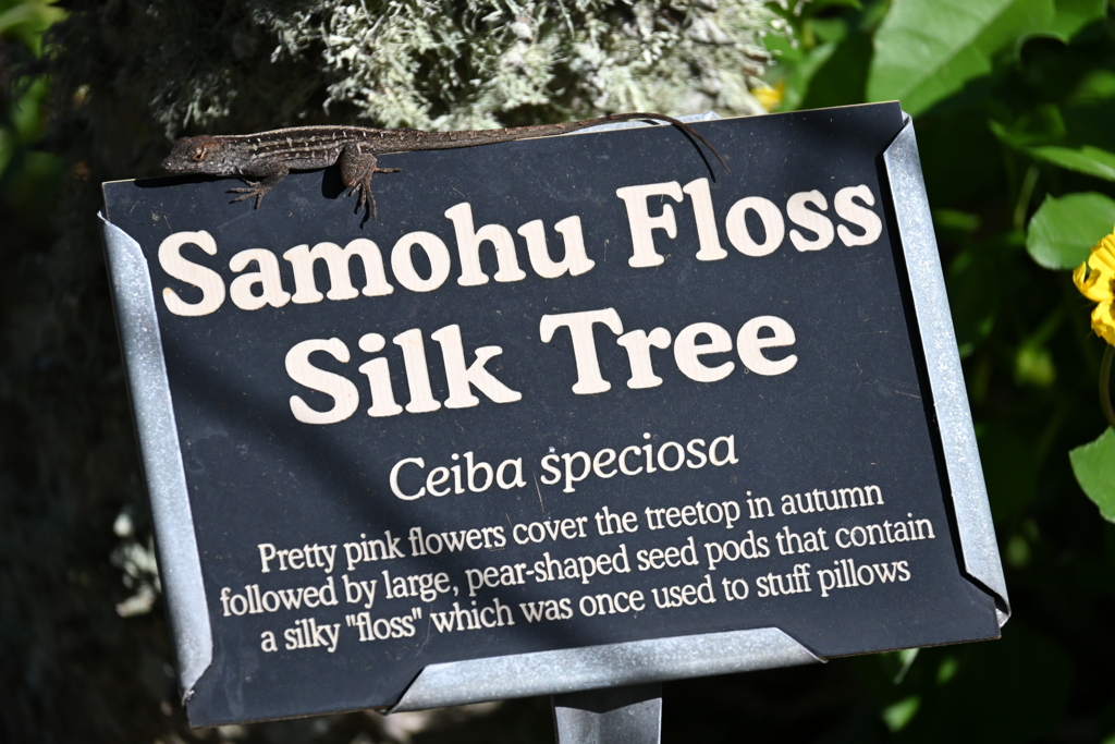 案内係　12-16-25