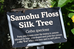 案内係　12-16-25